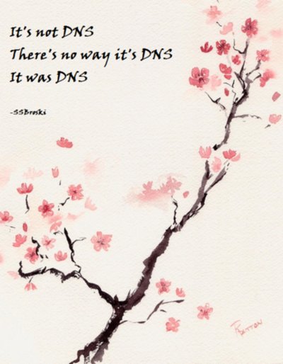It&rsquo;s not DNS, There&rsquo;s no way it&rsquo;s DNS, it was DNS
